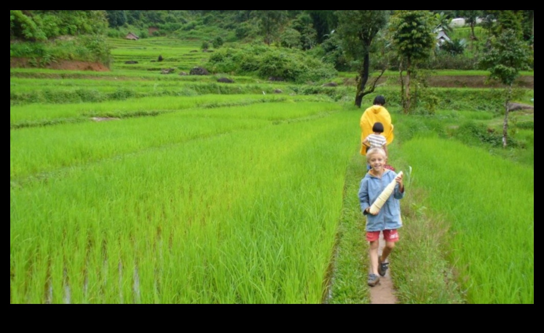 טריב טרקים מדריך לטיולים ידידותיים למשפחות 2 טיולי שבט: ניווט ביעדים ידידותיים למשפחות