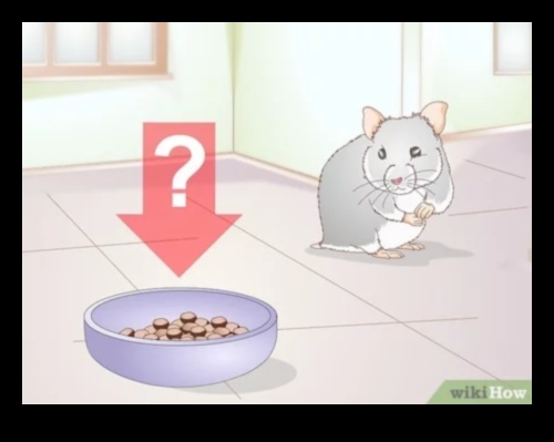 המשך בריאות השיניים של אוגר: ​​זיהוי סימנים לבעיות שיניים