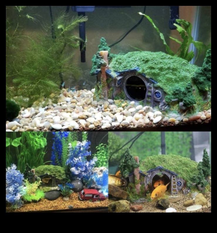 הרפתקאות דגים בטעם סנפיר: פעילויות מעוררות עבור חיות מחמד באקווריום