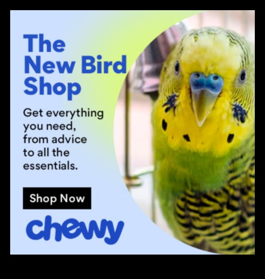 Feather Friends Fashion Fiesta מדריך אופנתי להלבשת ציפור המחמד שלך 2 Feathered Friends Fashion Fiesta: עיצוב מתמיד של ציפור המחמד שלך