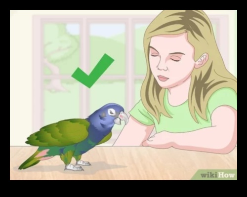 Feather Friends Fashion Fiesta מדריך אופנתי להלבשת ציפור המחמד שלך 3 Feathered Friends Fashion Fiesta: עיצוב מתמיד של ציפור המחמד שלך