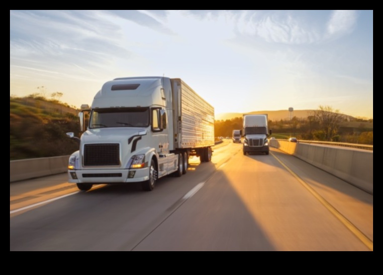 נופים לוגיסטיים: הפנים המשתנות של תפעול רכב מסחרי