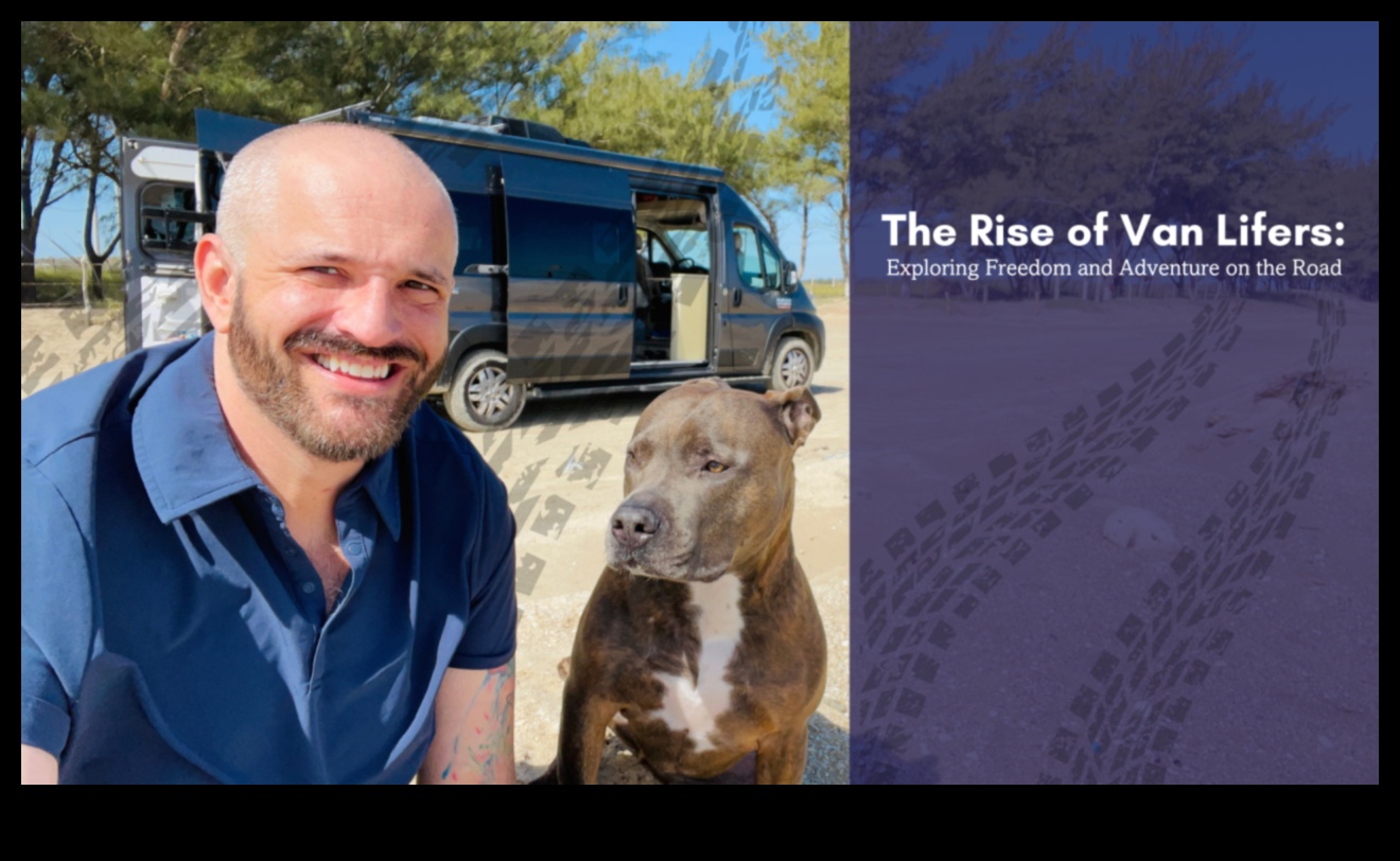 Nomadic Chronicles: סיפורי חיים אמיתיים של הרפתקאות ואן לייף