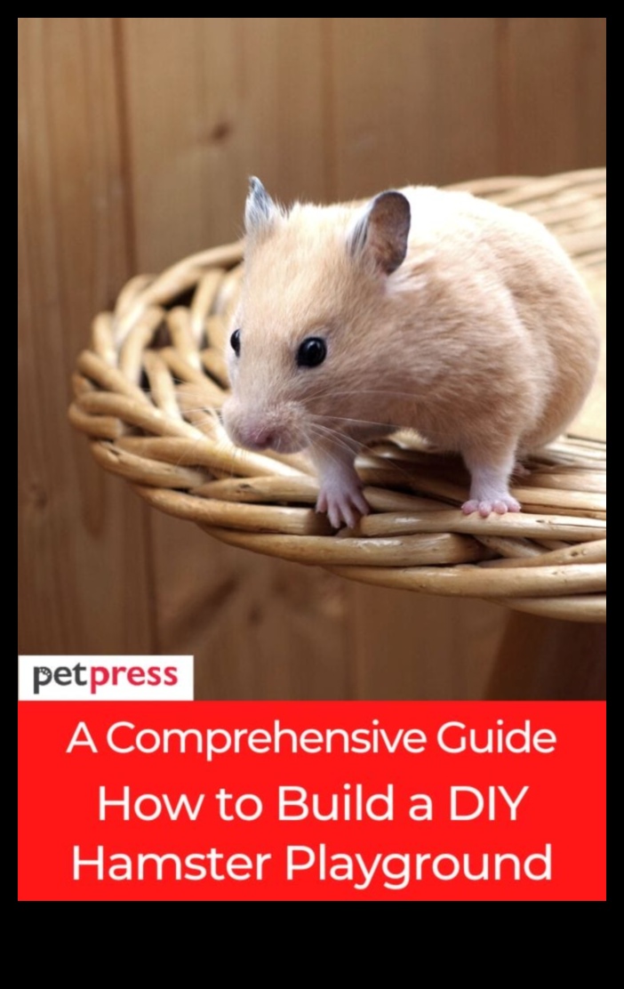 המשך רעיונות להעשרת אוגרים: יצירת אזורי משחק אינטראקטיביים