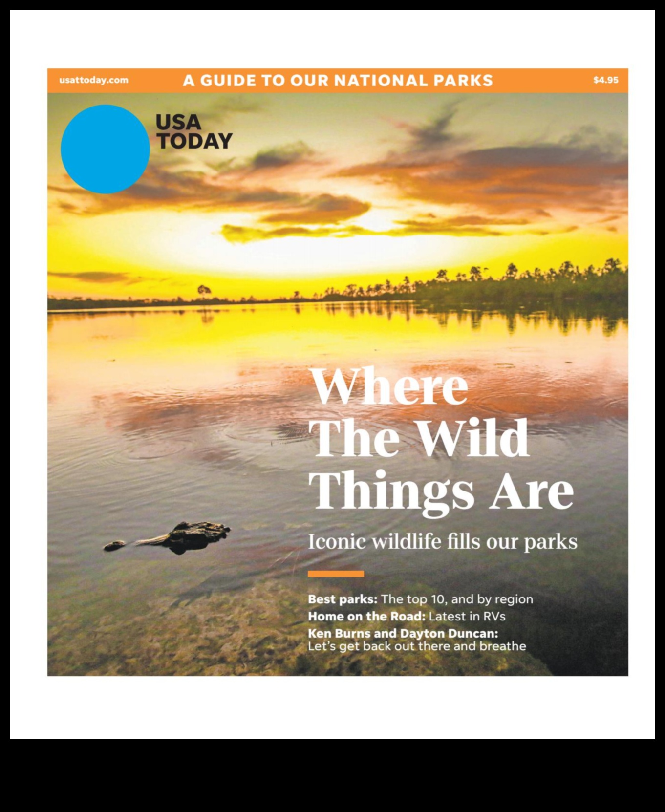 נחשולים נופיים: מדריך למבקרים לנופים מהפנטים