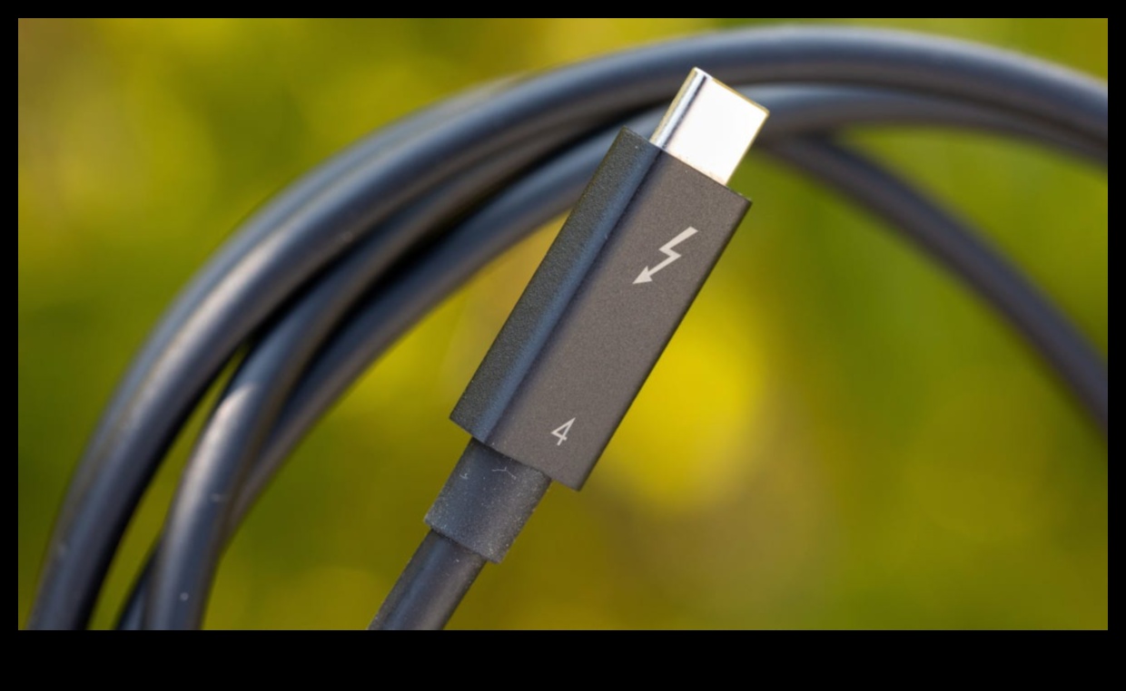 כרוניקות קישוריות: USB, Thunderbolt ועוד