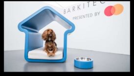 Barkitecture יצירת חלל נעים לכלבים 1 Barkitecture 101: יצירת בית ידידותי לכלבים