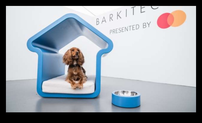Barkitecture יצירת בית ידידותי לכלבים 1 Barkitecture 101: יצירת בית ידידותי לכלבים