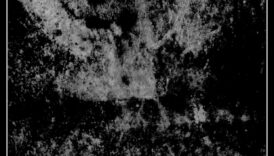 הטבע נחשף: חקר העולם הטבעי של הריאליזם