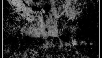 הטבע נחשף: חקר העולם הטבעי של הריאליזם