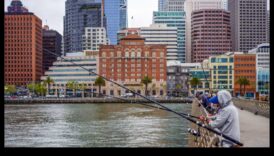 דייג עירוני: הרפתקאות דיג בנתיבי המים העירוניים