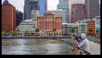 דייג עירוני: הרפתקאות דיג בנתיבי המים העירוניים