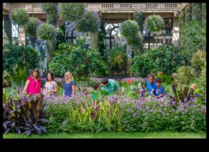 יופי בחצר האחורית: גן אטרקציות מקומי של תענוגות