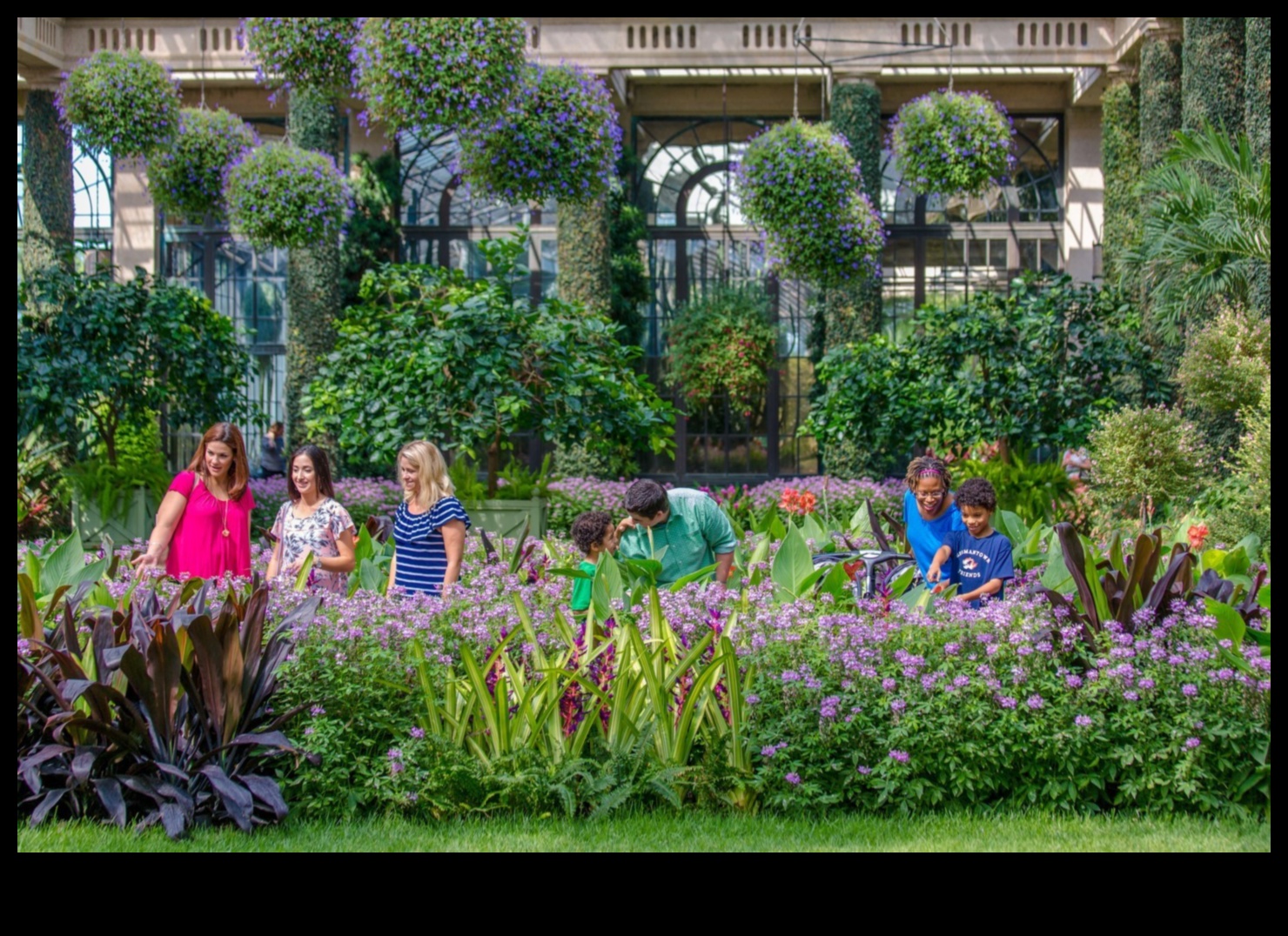 יופי בחצר האחורית גן אטרקציות מקומי של תענוגות 1 יופי בחצר האחורית: גן אטרקציות מקומי של תענוגות
