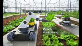 נדידה כפרית: כלי רכב אוטונומיים ככלים חיוניים בחקלאות ובחקלאות