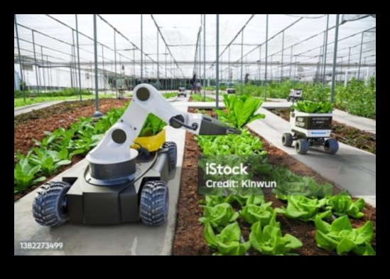 כיצד כלי רכב אוטונומיים מחוללים מהפכה בחקלאות כפרית 1 נדידה כפרית: כלי רכב אוטונומיים ככלים חיוניים בחקלאות ובחקלאות