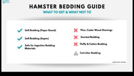 מדריך מצעים לאוגר: ​​בחירת החומרים הנכונים לנוחות