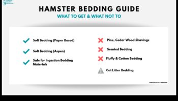 מדריך מצעים לאוגר: ​​בחירת החומרים הנכונים לנוחות