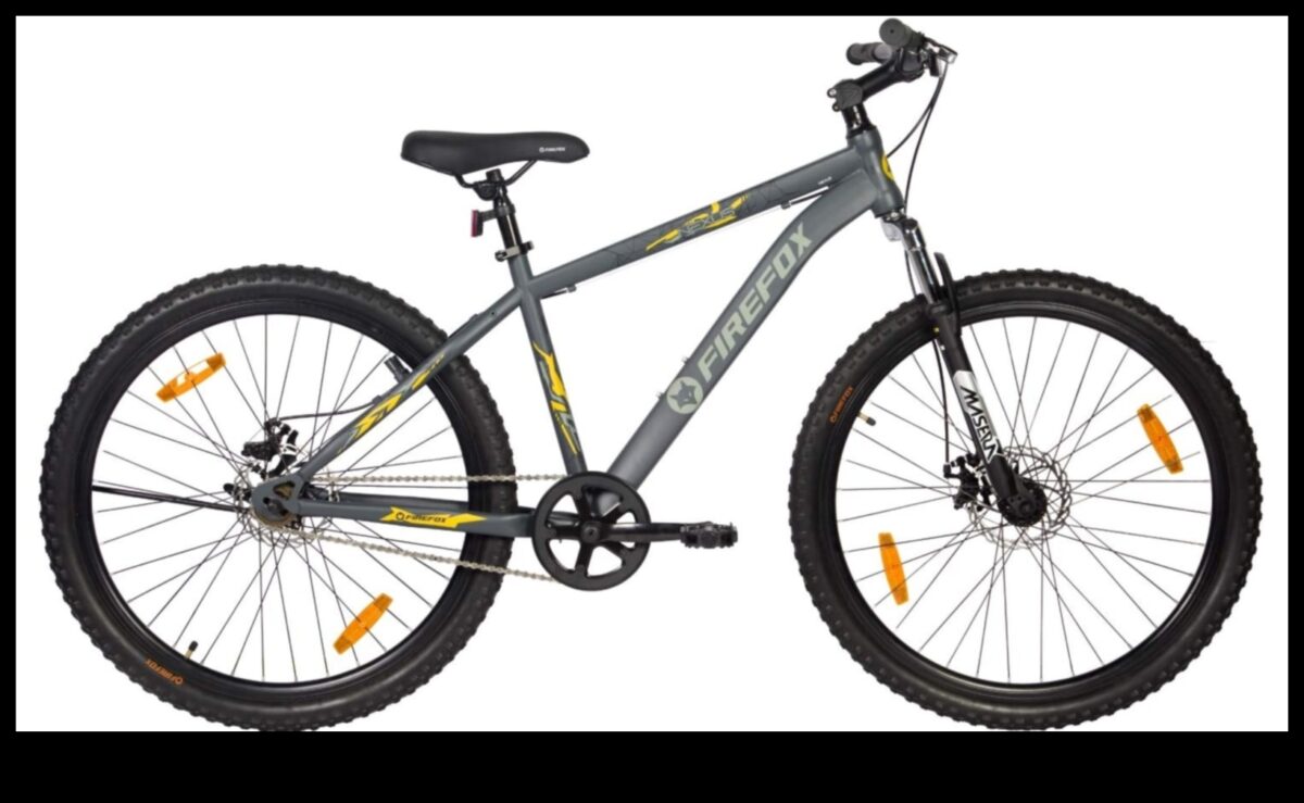 מהירות וסגנון: המשיכה האסתטית של אופניים בעלי ביצועים גבוהים