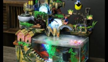 דיגי טנק המשך: גילוי עתידות עם דגים דקור