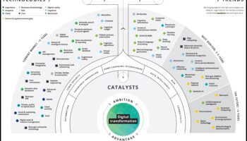 מעבר לעסקים כרגיל: חקר הגבולות של האבולוציה הדיגיטלית