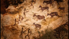 אבולוציה של ביטוי: טרנספורמציה דיגיטלית לאורך הדורות