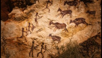 אבולוציה של ביטוי: טרנספורמציה דיגיטלית לאורך הדורות