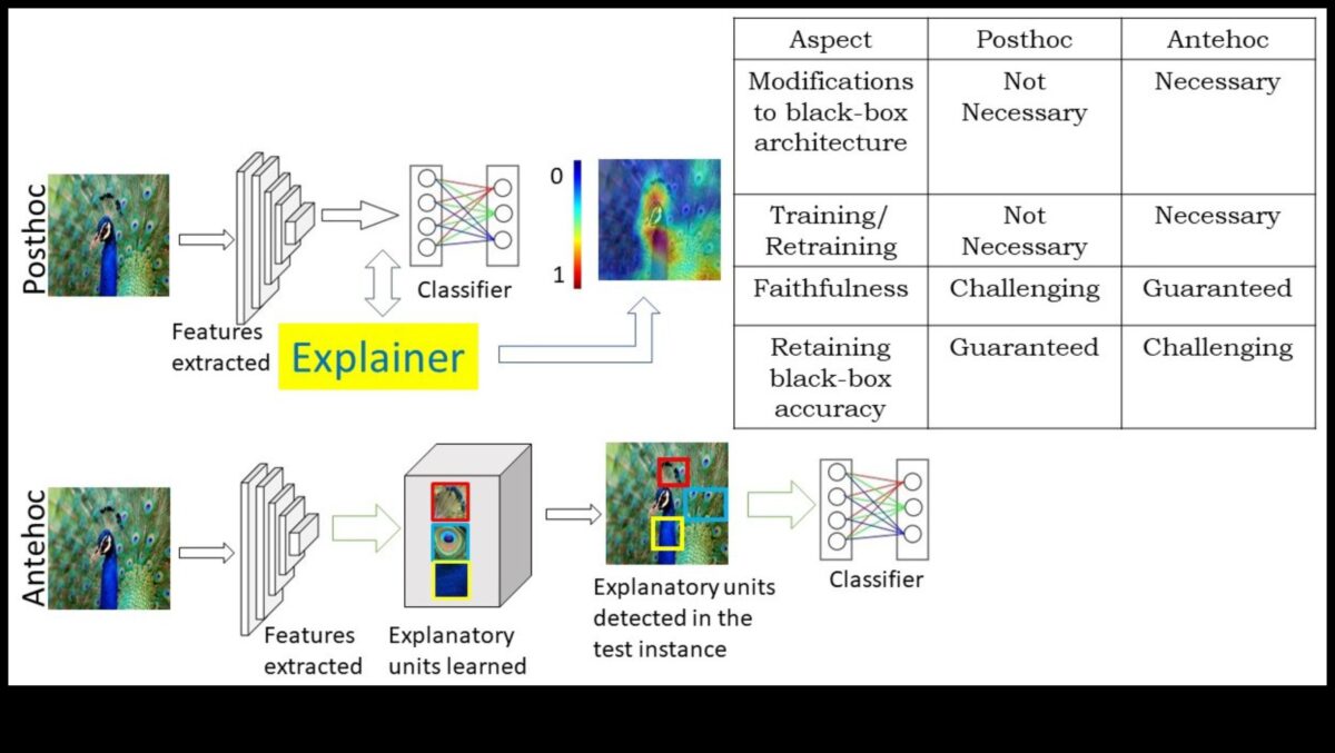מקונספט לקליק: מסע של מקצוען בחקר ML