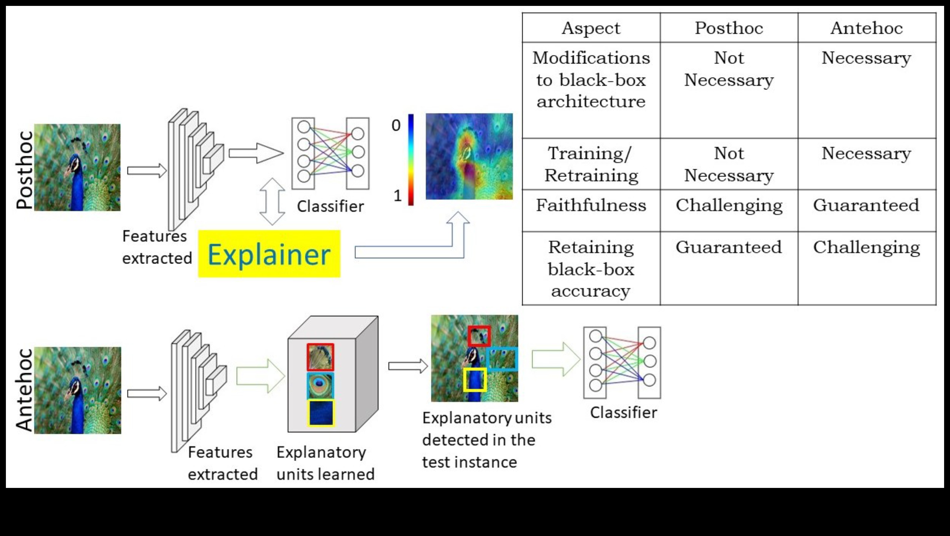 מקונספט לקליק: מסע של מקצוען בחקר ML