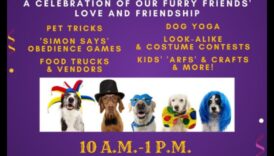 קרנבל כלבים: אירוח אירוע מהנה ופרוותי לכלבים