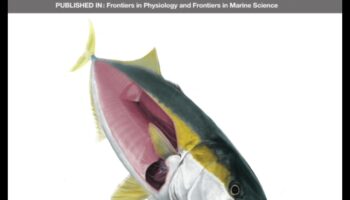 שחו לתוך המדע: פתרו את מסתורי הפיזיולוגיה של הדגים